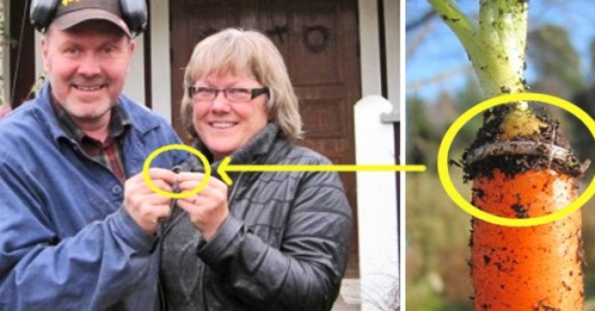 10 самых удачливых людей за всю историю человечества