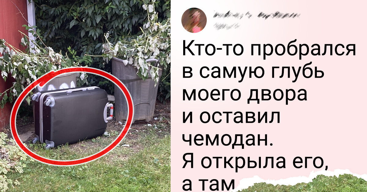 15+ человек, которым жизнь подкинула такой сюрприз, что волосы на голове дыбом 15+ человек, которым жизнь подкинула такой сюрприз, что волосы на голове дыбом