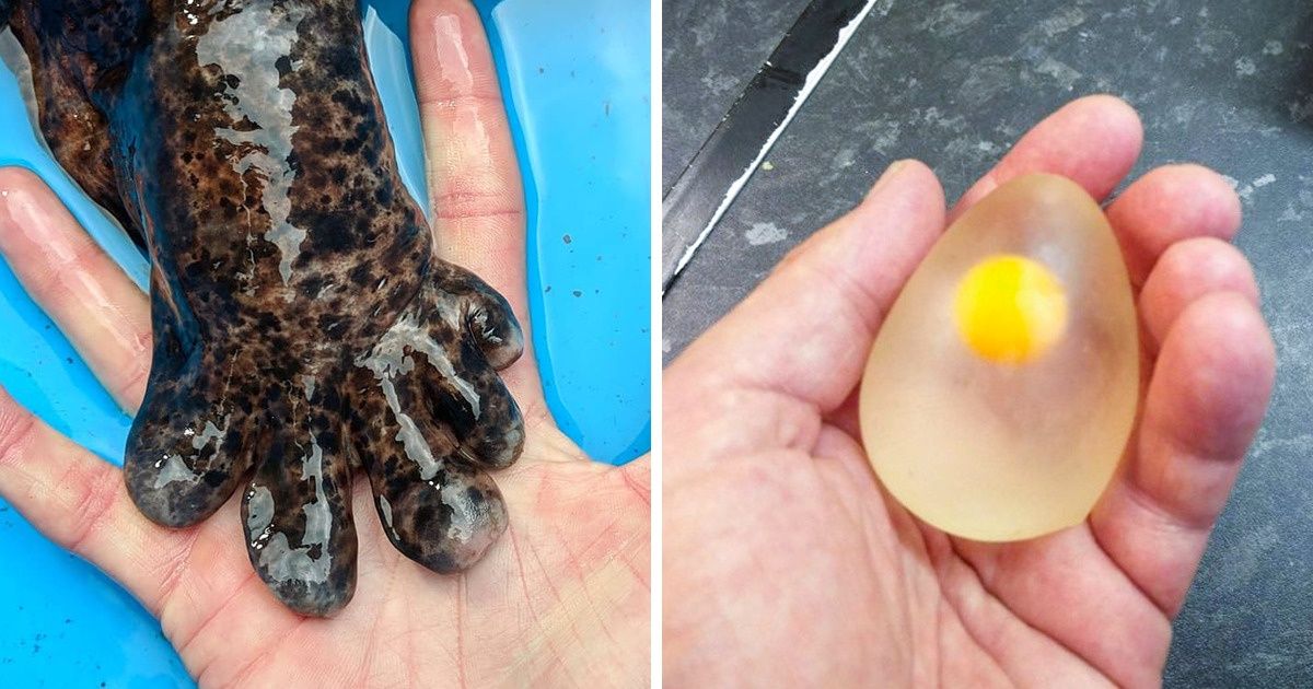 20+ фотографий, которые расширят ваш кругозор за 5 минут 20+ фотографий, которые расширят ваш кругозор за 5 минут