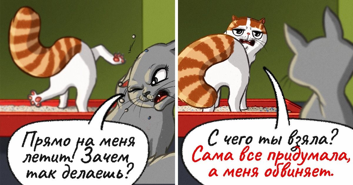 9 признаков истинного нарцисса, на чей крючок попасться проще простого 9 признаков истинного нарцисса, на чей крючок попасться проще простого