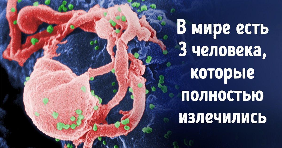 9 мифов о вирусе иммунодефицита человека, в которые до сих пор верят многие из нас