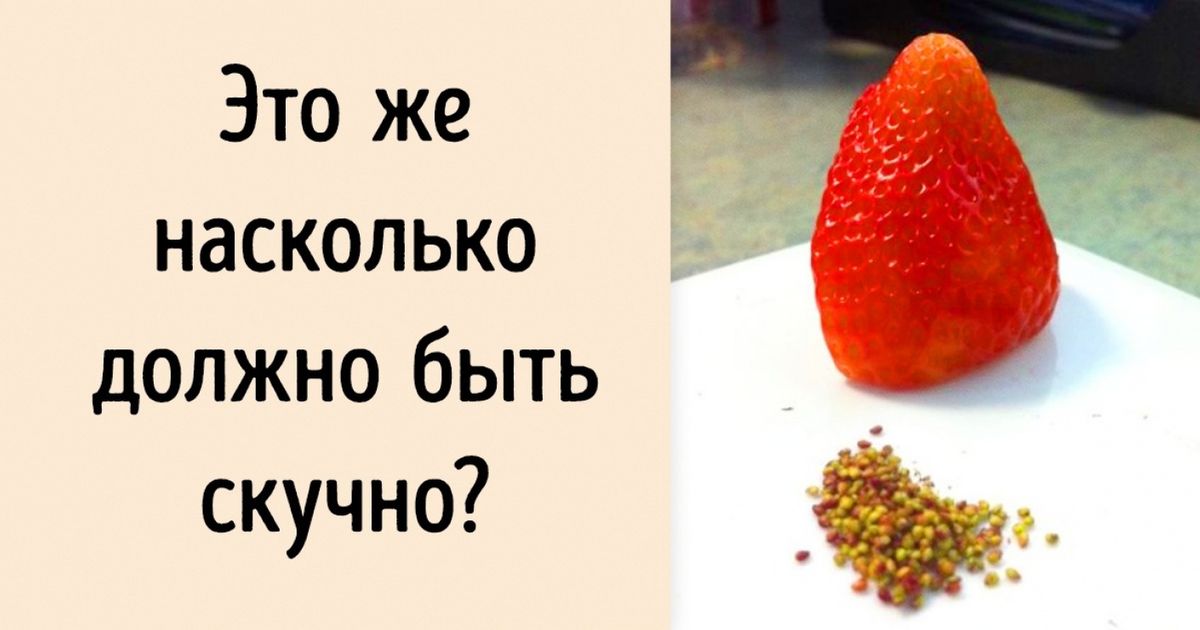 Почему все должно быть. Почему все должно быть