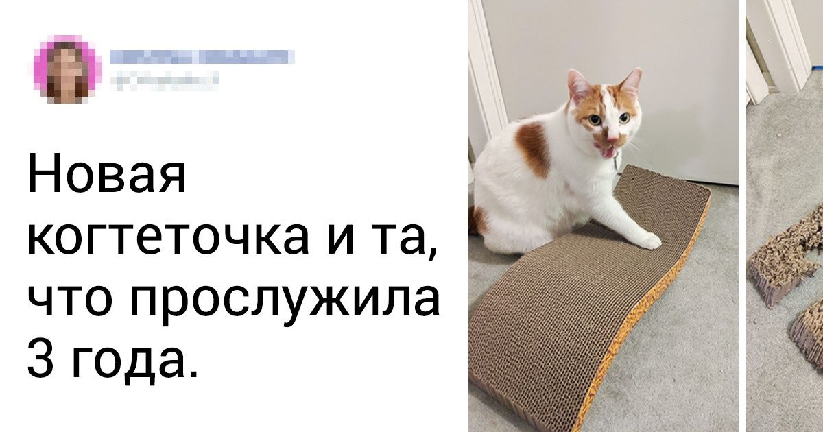 19 фотографий, которые можно было бы поместить в музей с подписью «Так выглядит время»