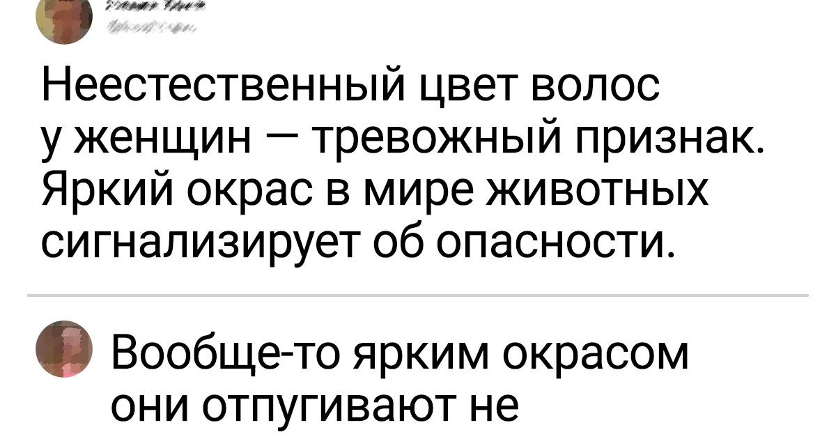 16 отважных комментаторов, которые успешно находят управу на нахалов в сети 16 отважных комментаторов, которые успешно находят управу на нахалов в сети