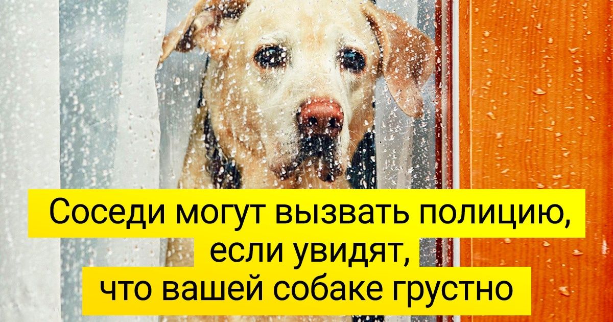 10+ особенностей жизни в Люксембурге, которые могут вогнать туриста в легкий ступор 10+ особенностей жизни в Люксембурге, которые могут вогнать туриста в легкий ступор