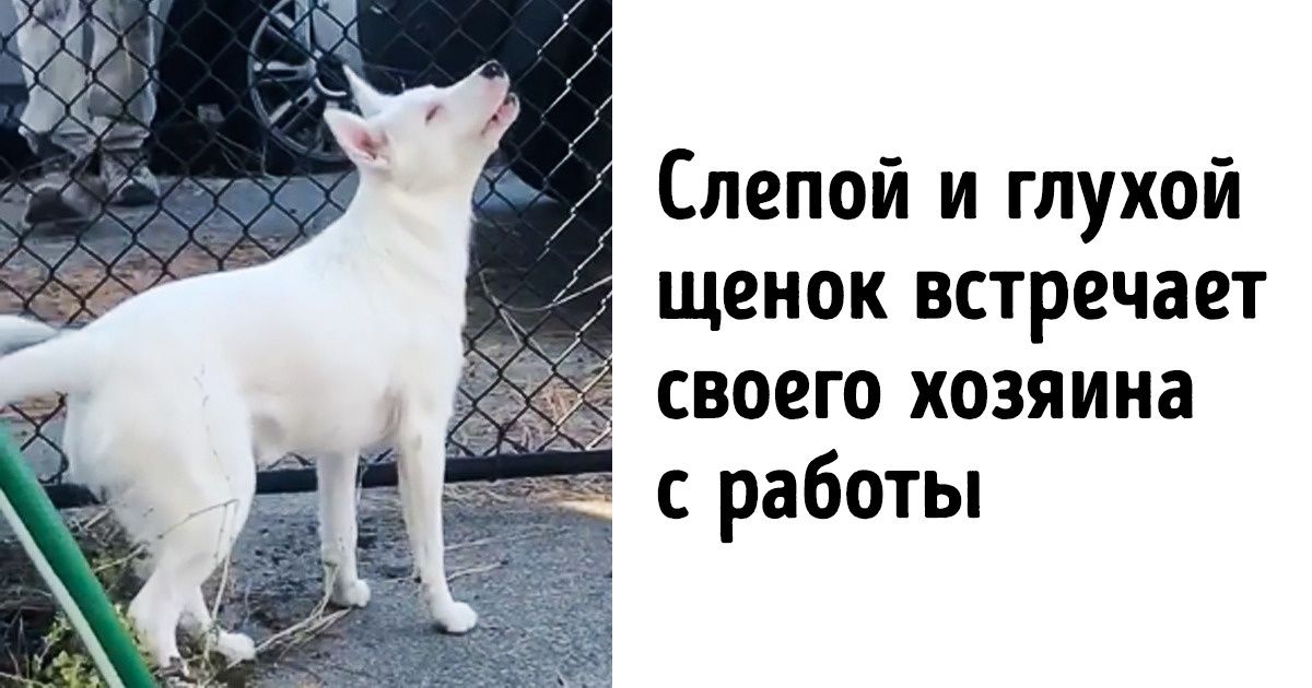 15 моментов, за каждым из которых скрывается трогательная история 15 моментов, за каждым из которых скрывается трогательная история