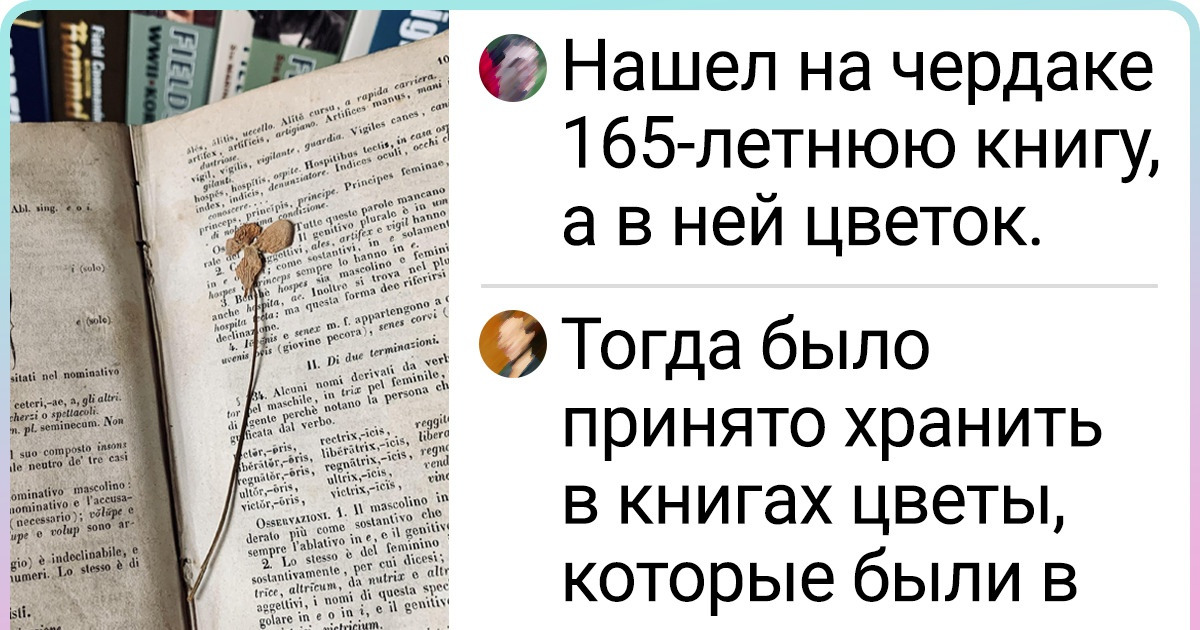15+ человек поделились находками, которые изумили их, словно снег в июле 15+ человек поделились находками, которые изумили их, словно снег в июле