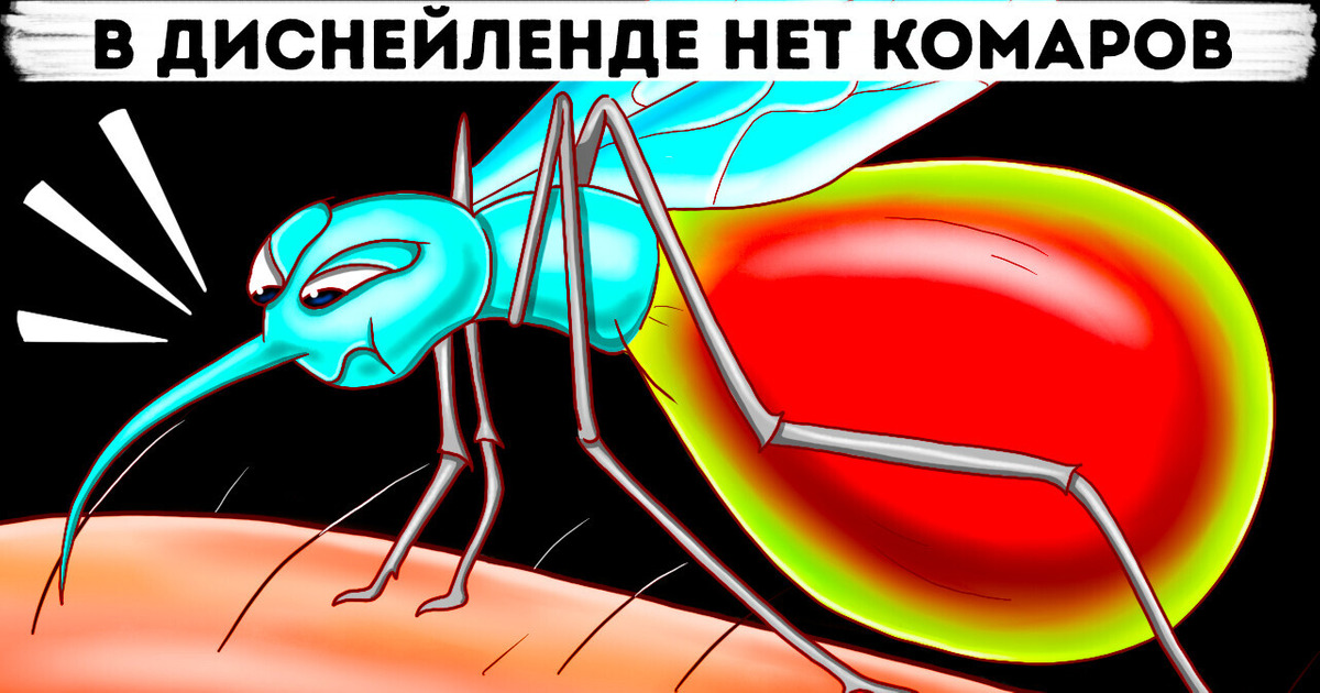 Диснейленд тщательно скрывает эти секреты! Диснейленд тщательно скрывает эти секреты!