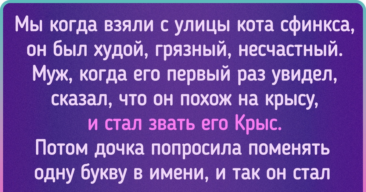 Читатели AdMe.ru рассказали о кличках своих домашних питомцев, и это сделало наш день Читатели AdMe.ru рассказали о кличках своих домашних питомцев, и это сделало наш день