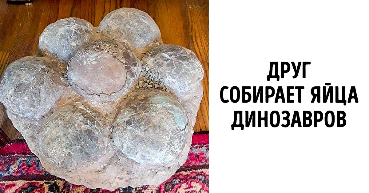 20+ необычных коллекций, увидев которые нам захотелось начать что-то собирать