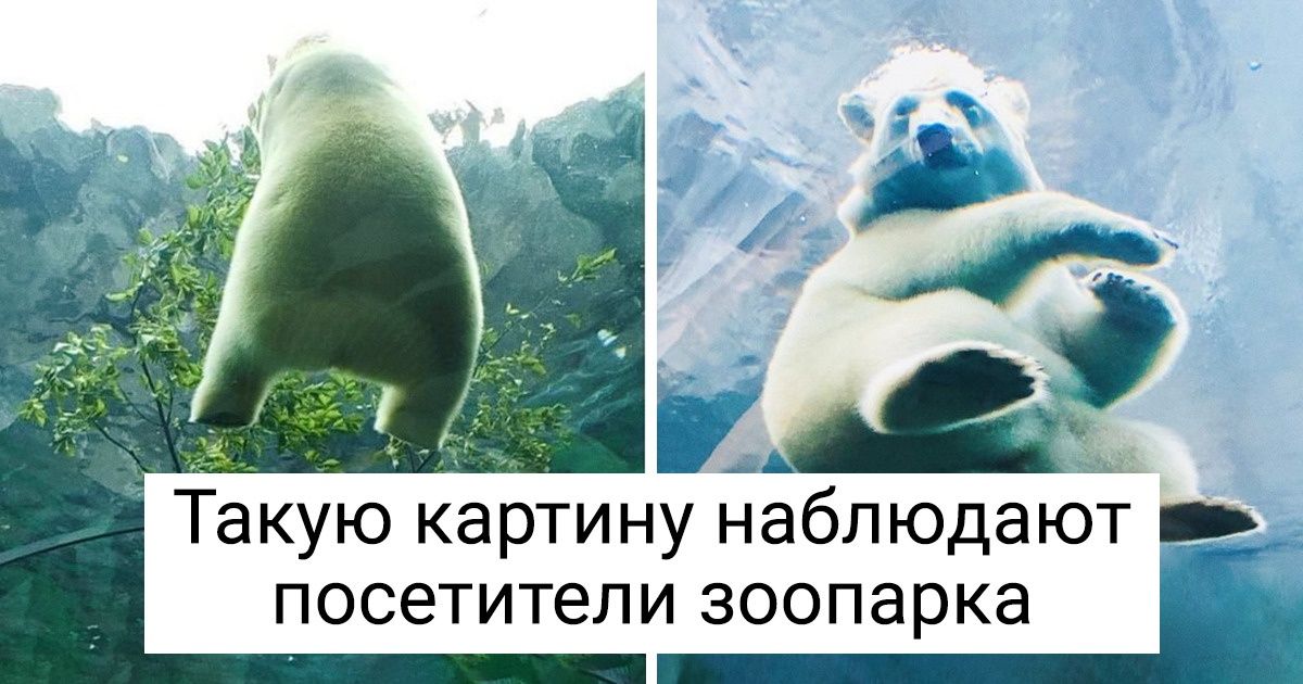 12 мест, которые можно посетить только в Японии. В остальных странах до такого бы не додумались 12 мест, которые можно посетить только в Японии. В остальных странах до такого бы не додумались