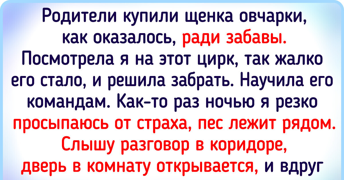 16 трогательных историй о собаках, которые помогли своим хозяевам поверить в настоящую дружбу 16 трогательных историй о собаках, которые помогли своим хозяевам поверить в настоящую дружбу