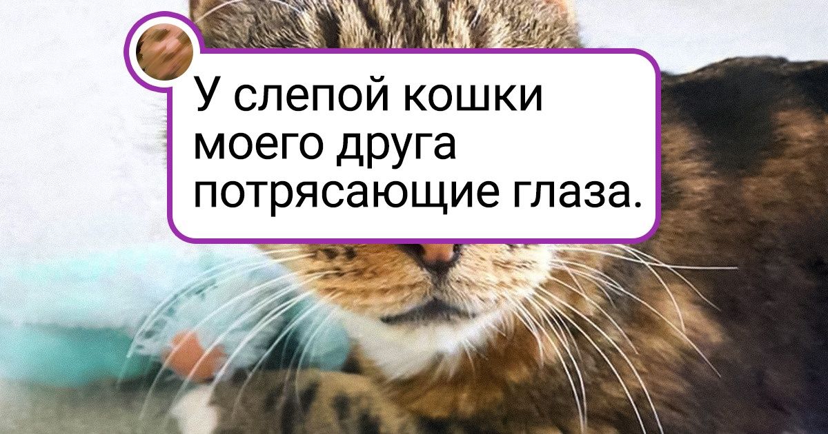 15 фотографий, которые доказывают, что мир никогда не перестанет нас удивлять 15 фотографий, которые доказывают, что мир никогда не перестанет нас удивлять