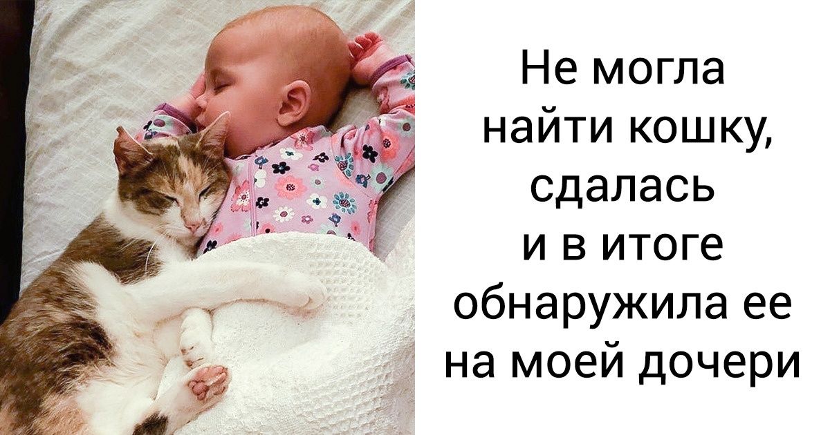 20 очаровательных фото о любви между животными и людьми 20 очаровательных фото о любви между животными и людьми