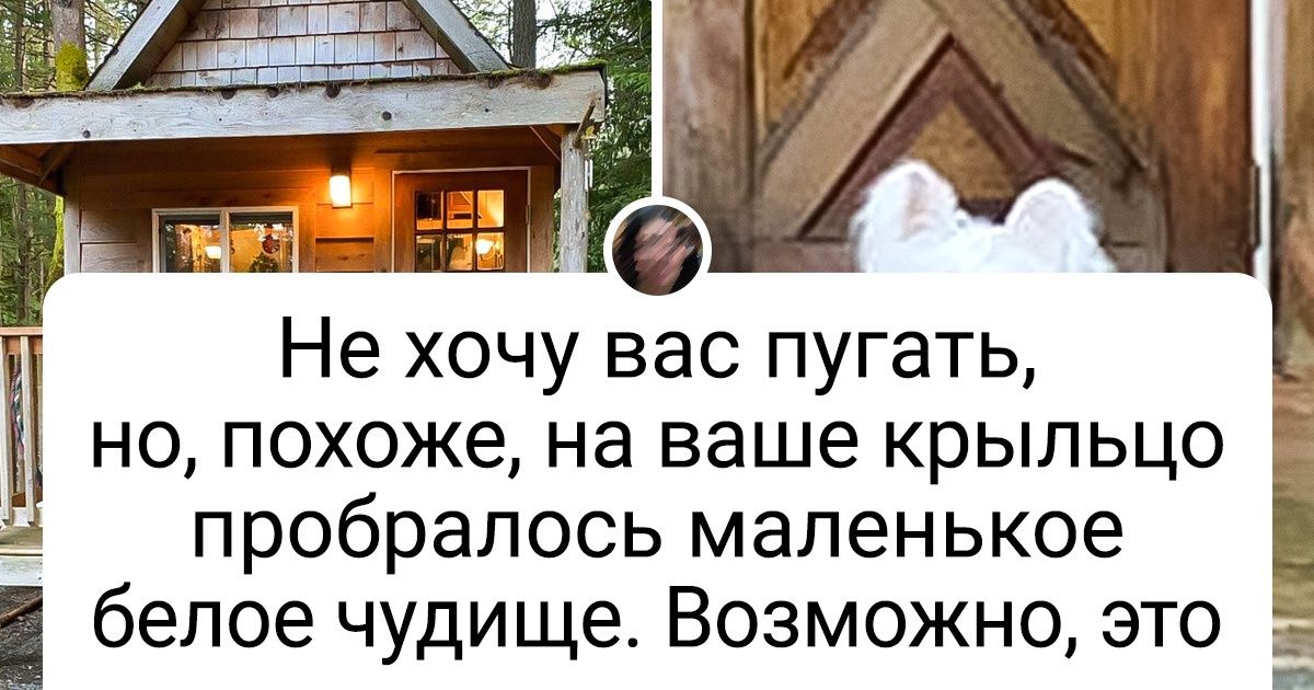 Пользователи сети похвастались тем, как встречают осень, и вам срочно захочется повторить Пользователи сети похвастались тем, как встречают осень, и вам срочно захочется повторить