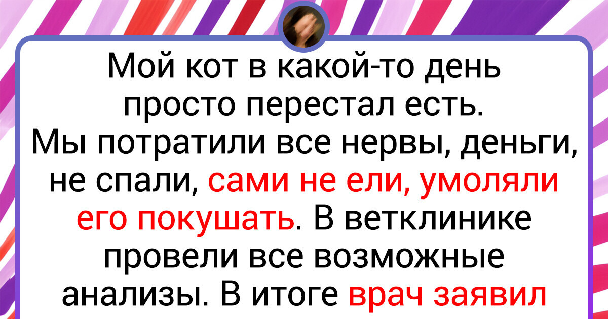 18 доказательств того, что без кота и жизнь не та. И без собаки тоже