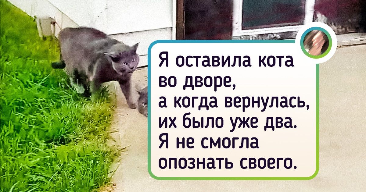 17 человек, которые лицом к лицу столкнулись с багом во Вселенной