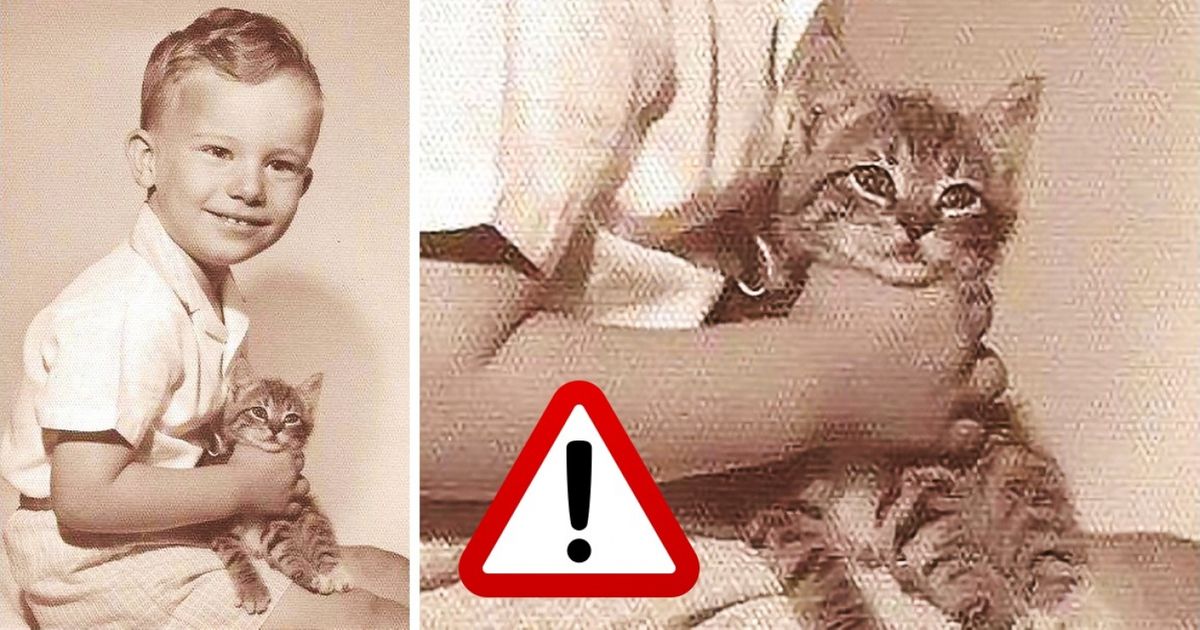 7 признаков, которые позволяют распознать в ребенке будущего психопата 7 признаков, которые позволяют распознать в ребенке будущего психопата