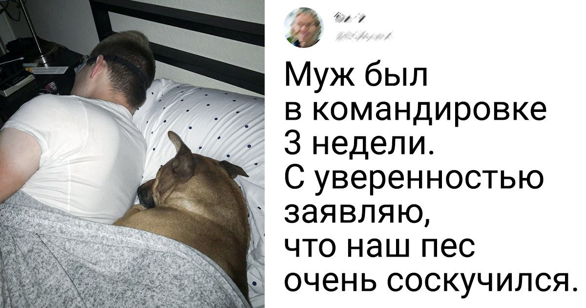 17 человек, которые знают, как найти со своим питомцем общий язык 17 человек, которые знают, как найти со своим питомцем общий язык