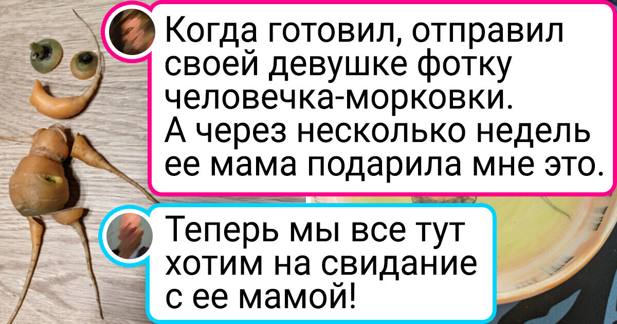 16 доказательств того, что семейная жизнь полна юмора 16 доказательств того, что семейная жизнь полна юмора