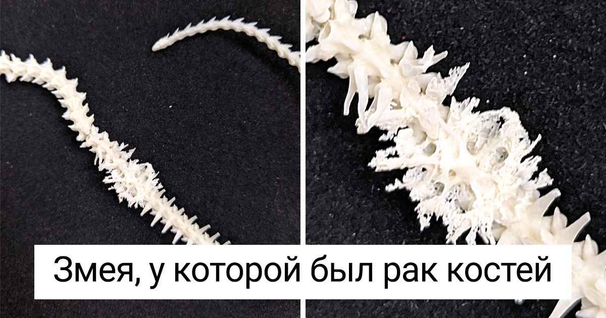 20+ фотографий, которые показывают, как время и обстоятельства влияют на вещи