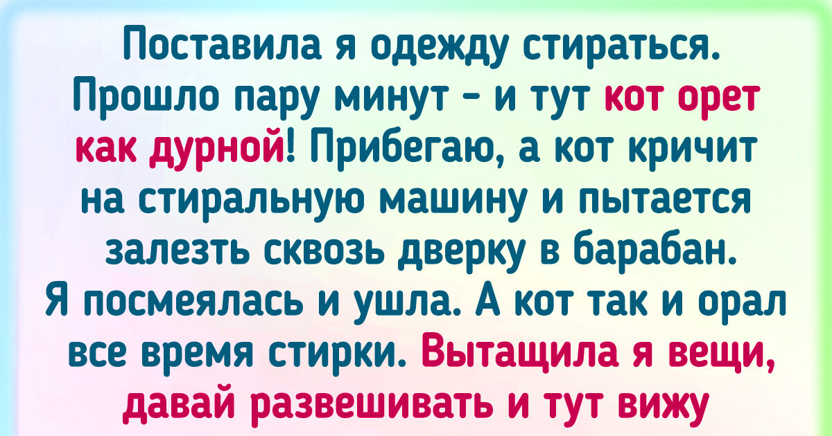 18 историй о том, как жизнь показала свое чувство юмора 18 историй о том, как жизнь показала свое чувство юмора