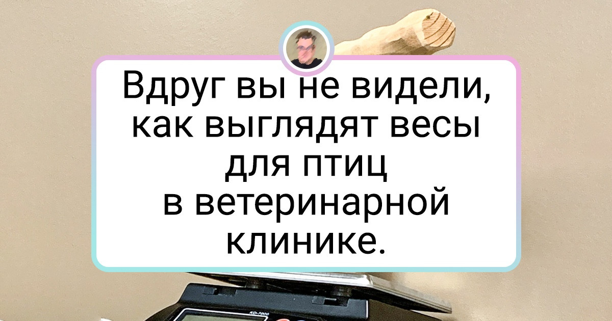 18 представителей разных профессий показали кадры из своей рабочей жизни и изрядно нас заинтриговали