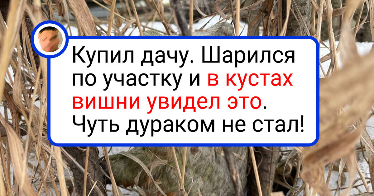 18 человек увидели такое, что аж волосы на голове зашевелились 18 человек увидели такое, что аж волосы на голове зашевелились