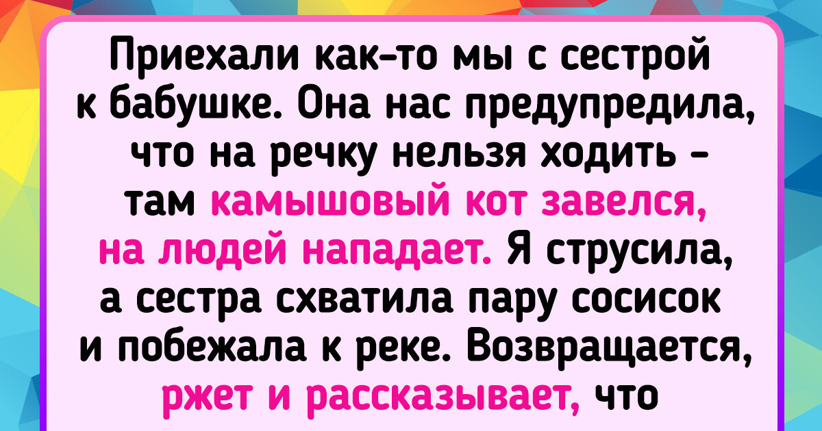 19 историй и фото от людей, которые подарили бездомным кошкам шанс на счастье 19 историй и фото от людей, которые подарили бездомным кошкам шанс на счастье