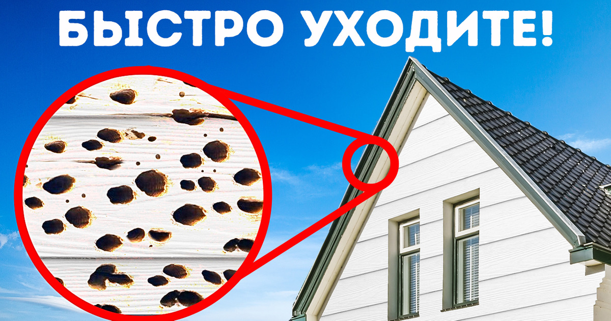 11 вещей, о которых ваш агент по недвижимости может вам не рассказать 11 вещей, о которых ваш агент по недвижимости может вам не рассказать