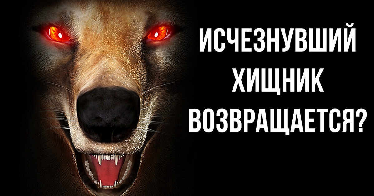 Можно ли возродить вымерших животных? Можно ли возродить вымерших животных?