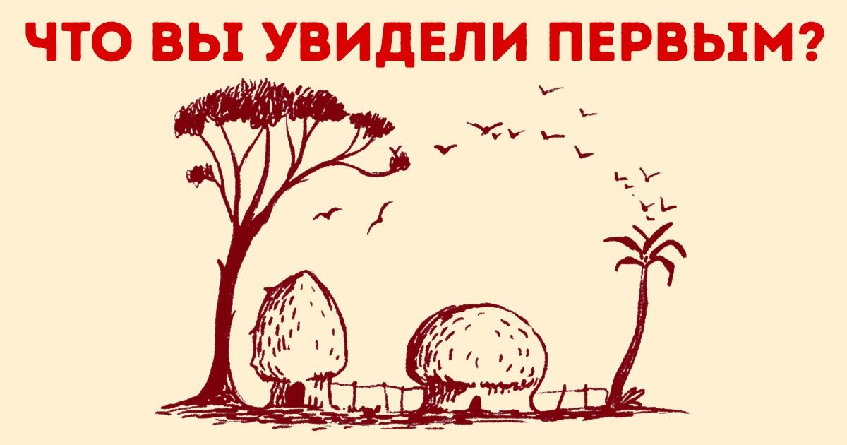 11 загадок, которые позволят проверить вашу внимательность и расскажут о скрытых чертах характера