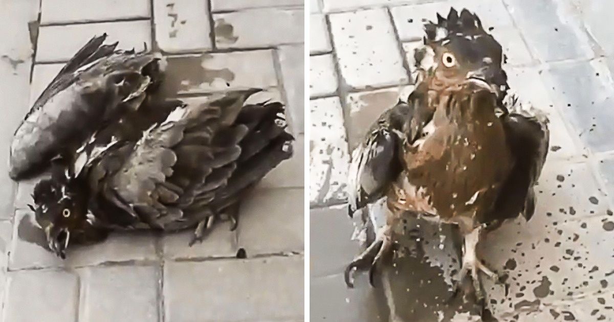 25 фотографий, количество тепла на которых бьет все рекорды 25 фотографий, количество тепла на которых бьет все рекорды