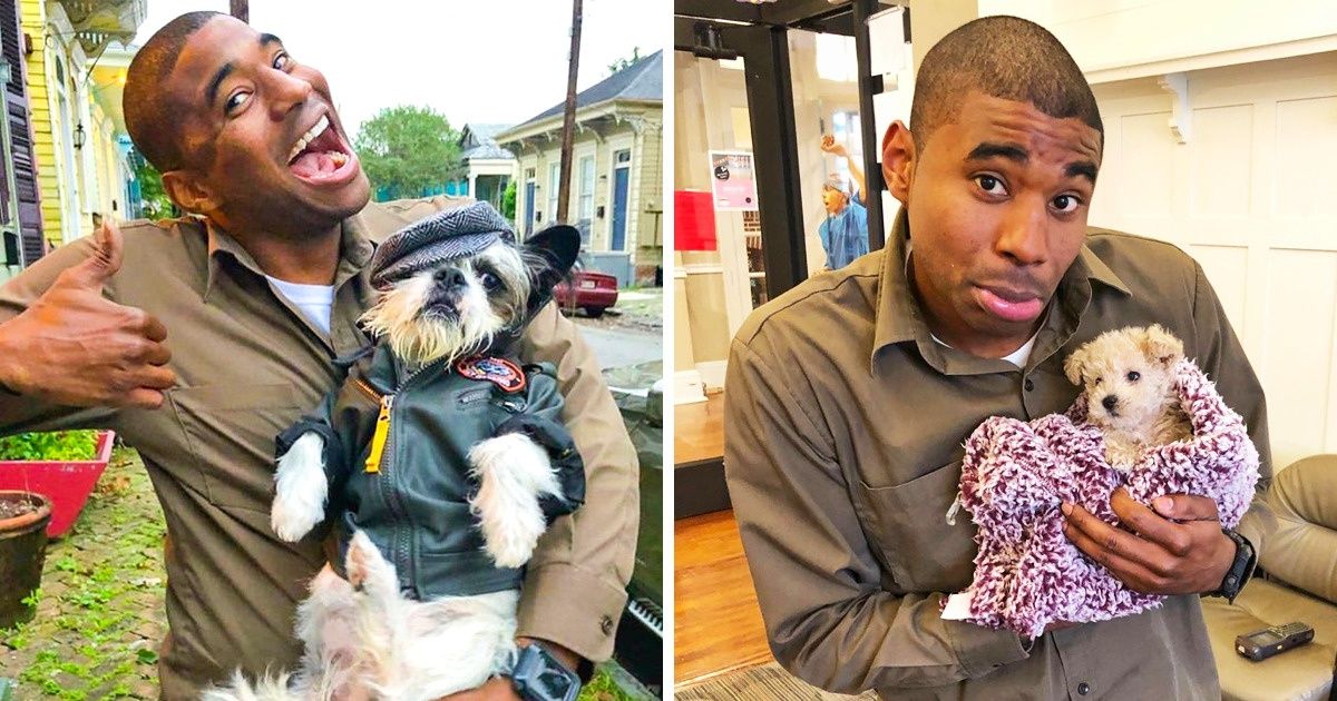 Люди внезапно захотели поменяться работой с курьером UPS после того, как он начал делать эпичные селфи с собаками получателей Люди внезапно захотели поменяться работой с курьером UPS после того, как он начал делать эпичные селфи с собаками получателей