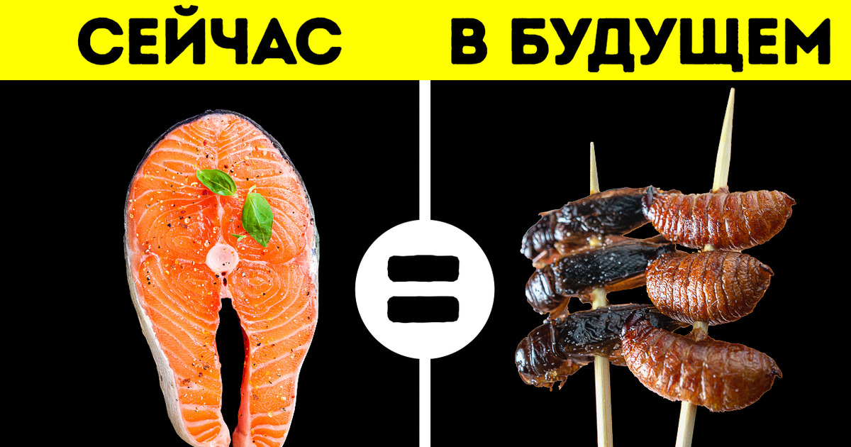 Готовьтесь есть жуков || Будущее фермерства