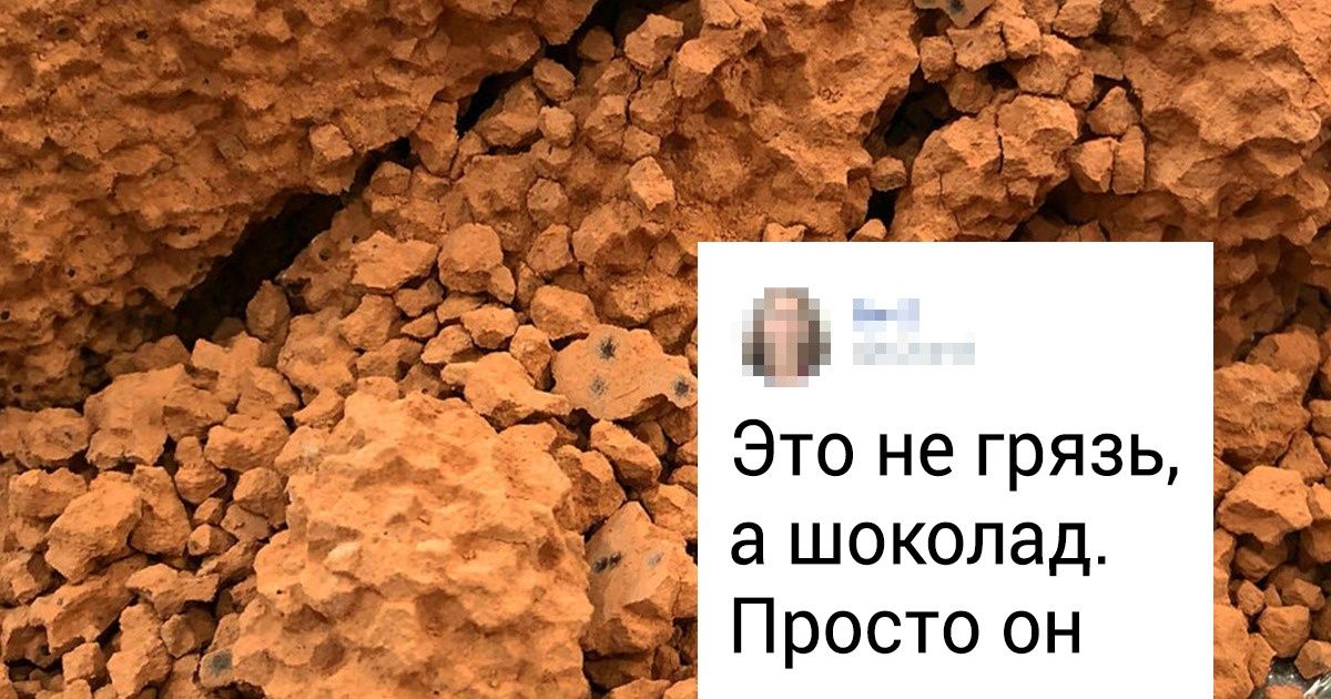 20 фото, которые покажут обычные вещи под неожиданным углом
