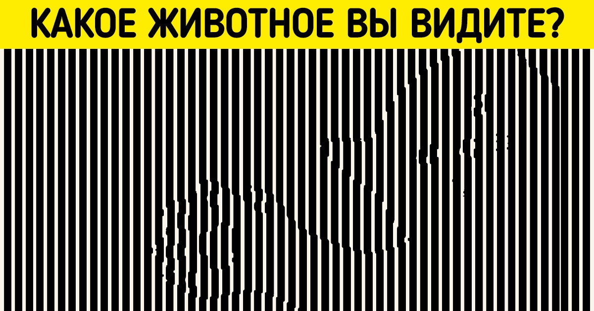 10 визуальных ребусов, которые перехитрят ваш разум 10 визуальных ребусов, которые перехитрят ваш разум
