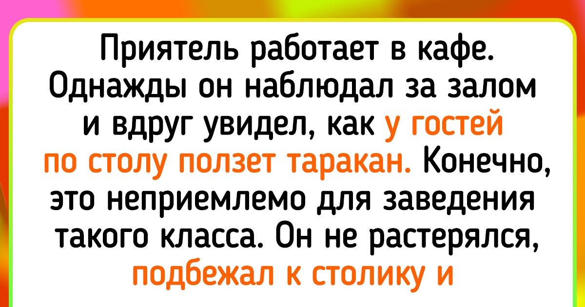 15+ историй на грани находчивости и маразма, которые хочется перечитывать снова и снова 15+ историй на грани находчивости и маразма, которые хочется перечитывать снова и снова