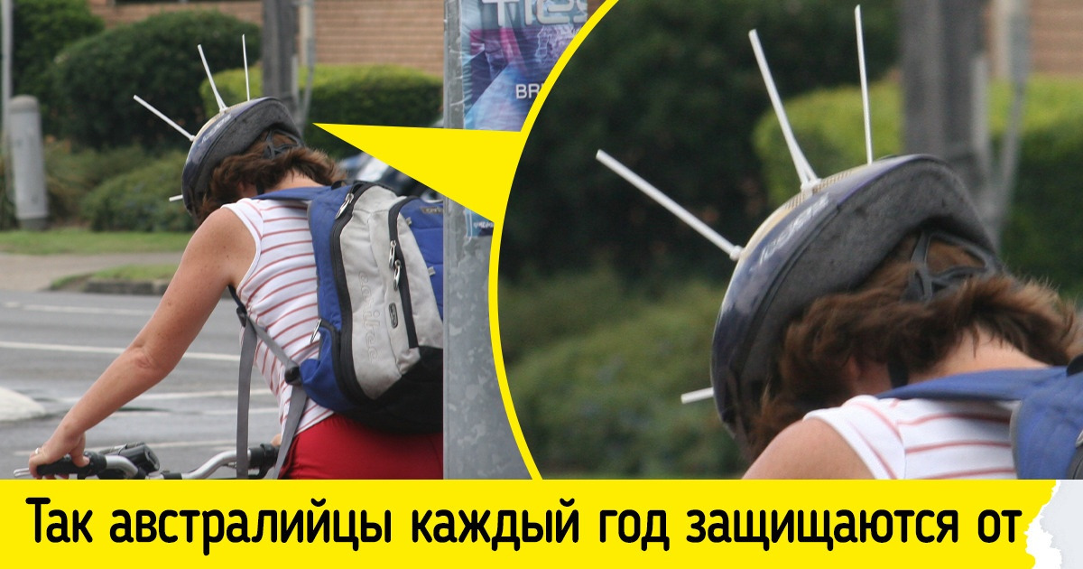 Жители 15 стран рассказали, какие привычные для них вещи ставят в тупик иностранцев Жители 15 стран рассказали, какие привычные для них вещи ставят в тупик иностранцев