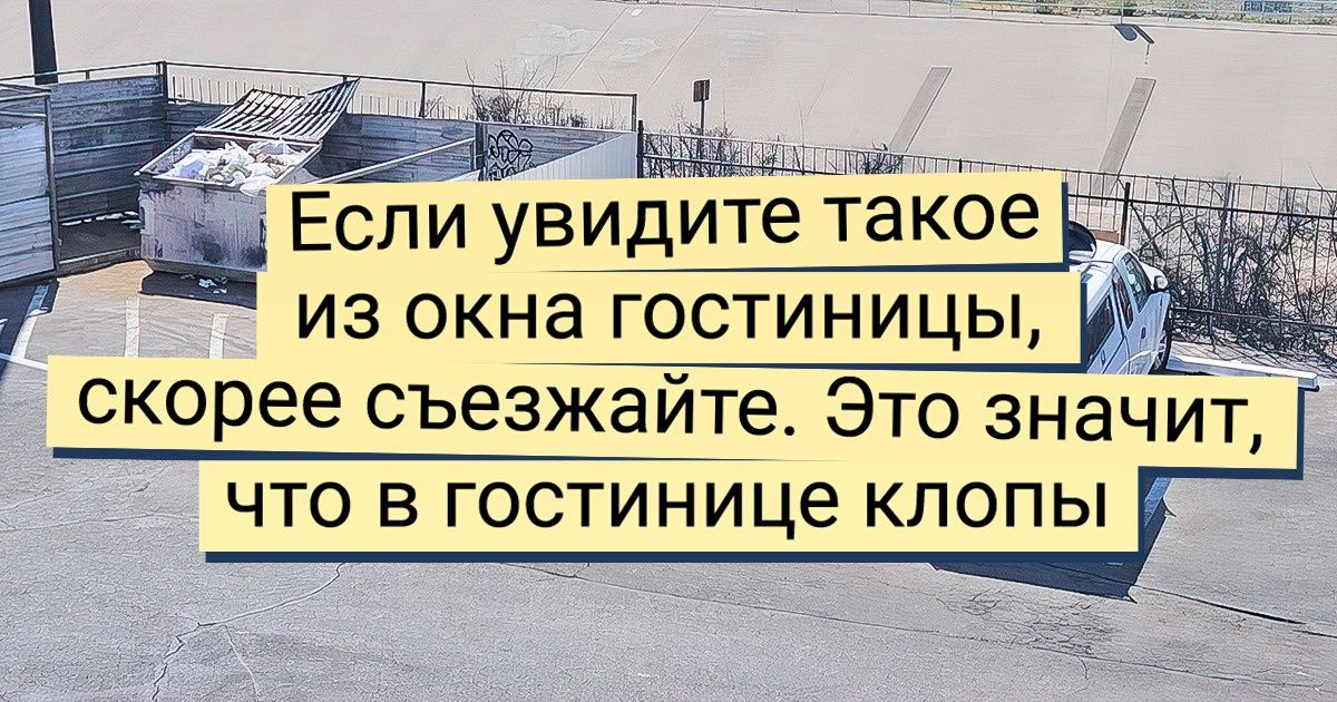 19 человек, которые приехали в отель, а там их поджидал рояль в кустах 19 человек, которые приехали в отель, а там их поджидал рояль в кустах