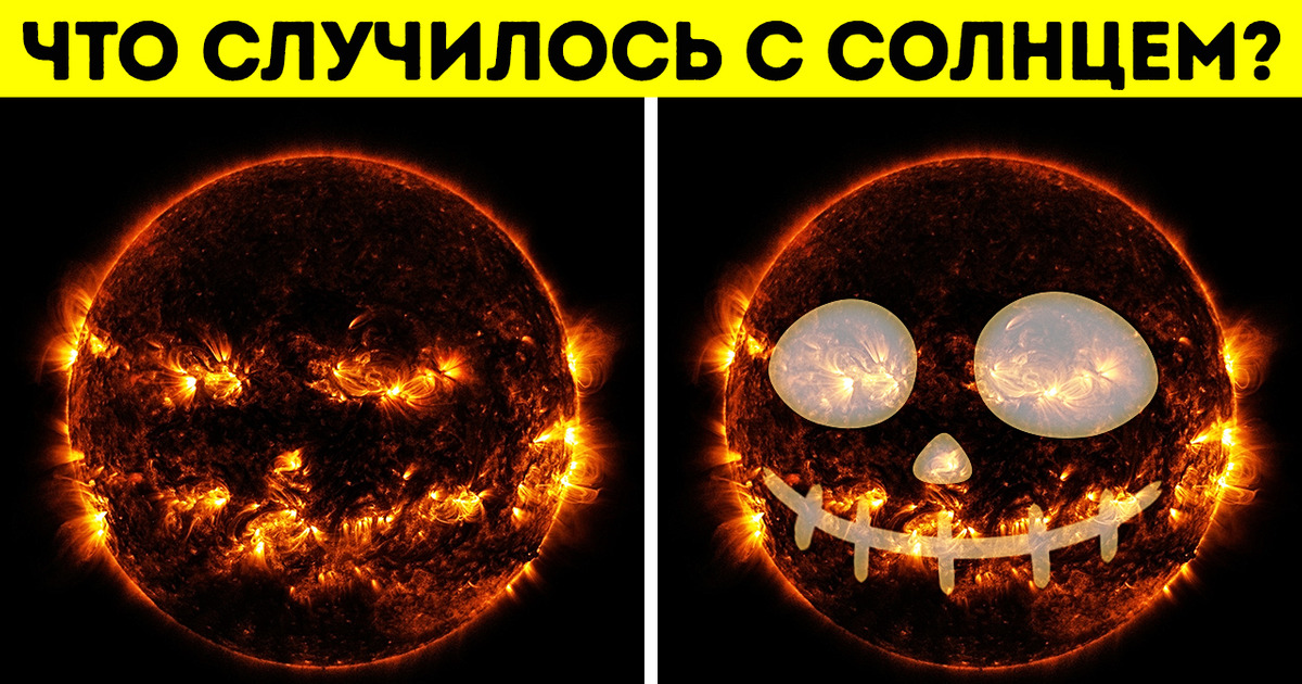 Это фото кажется забавным, но за ним скрывается нечто опасное