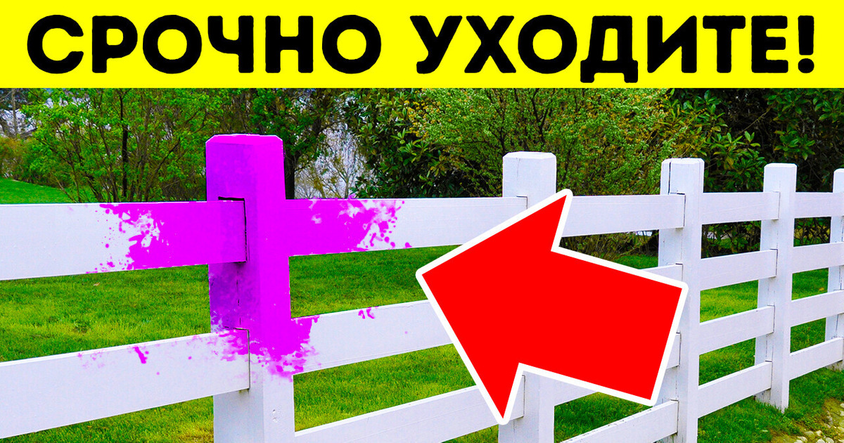 Если увидите забор с фиолетовыми метками, лучше отойдите подальше