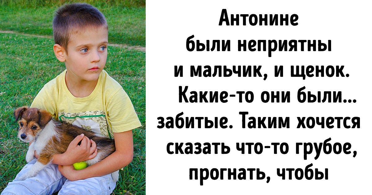 «Тетенька, возьмите щенка». Проникновенный рассказ о том, как одно воспоминание изменило сразу 3 жизни «Тетенька, возьмите щенка». Проникновенный рассказ о том, как одно воспоминание изменило сразу 3 жизни