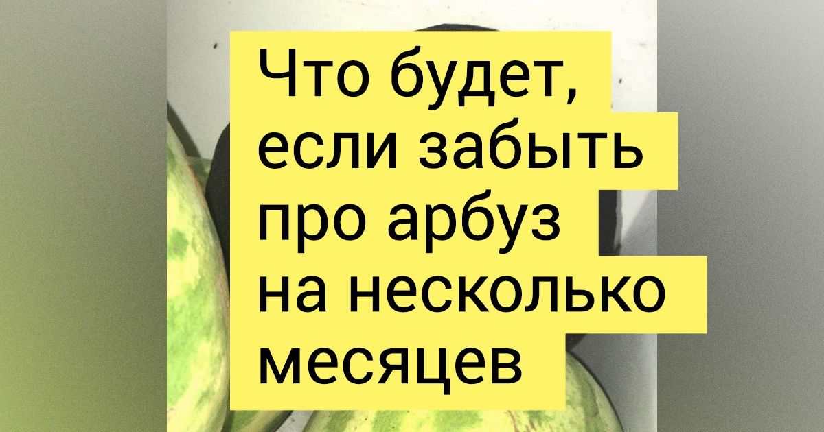 15 фото, которые просто и понятно отвечают на вопрос «Что будет, если?..» 15 фото, которые просто и понятно отвечают на вопрос «Что будет, если?..»