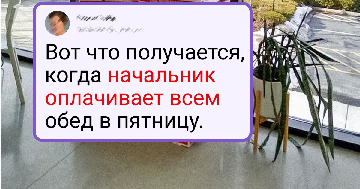20+ фото с работы, которые показывают, что в каждом офисе царит своя атмосфера 20+ фото с работы, которые показывают, что в каждом офисе царит своя атмосфера