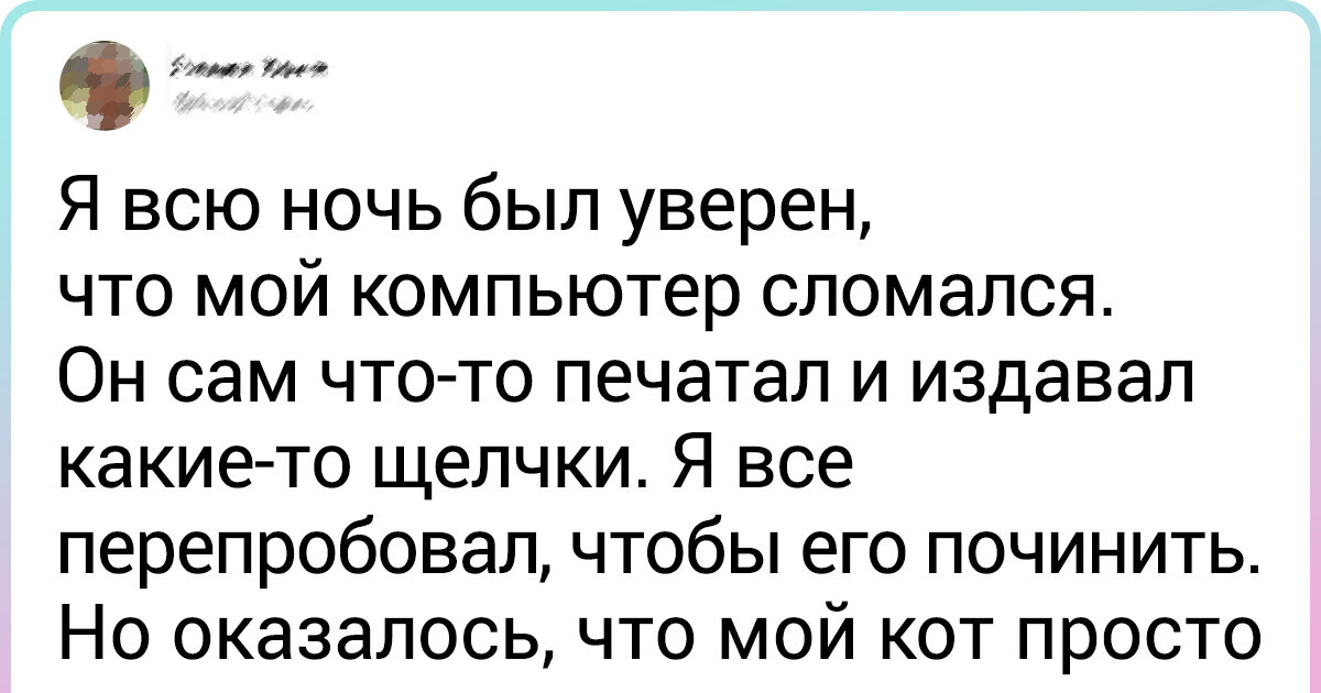 20 жизненных ситуаций, над которыми каждый владелец зверушки плачет и смеется, смеется и плачет