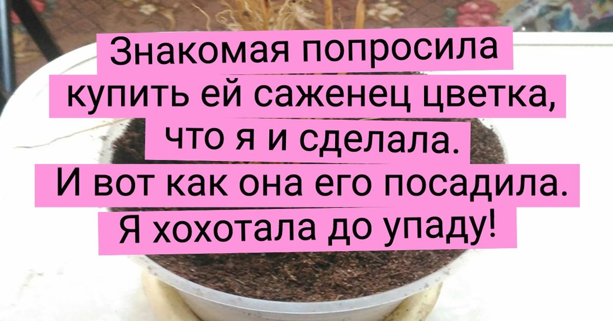 20 человек, для которых лучший вид спорта — это ползание по грядкам на четвереньках 20 человек, для которых лучший вид спорта — это ползание по грядкам на четвереньках