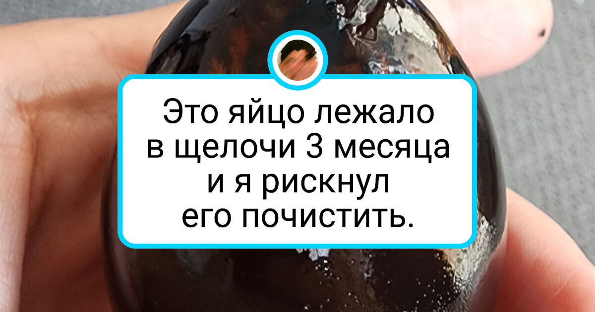 19 человек, которые вдруг узнали «Что будет, если?..» 19 человек, которые вдруг узнали «Что будет, если?..»