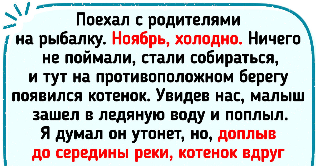 20 котов, чья жизнь изменилась к лучшему после встречи со своим человеком