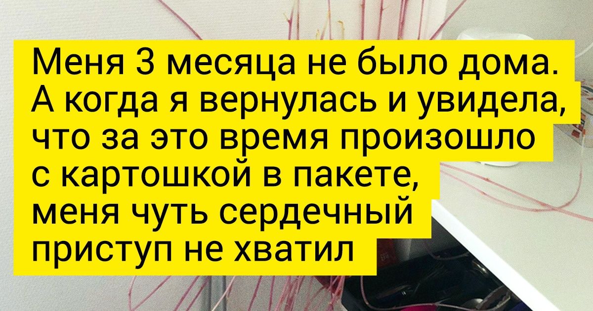 19 растений, которых хлебом не корми, дай выпендриться